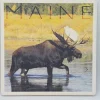 Moose In Water Coaster