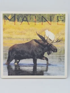 Moose In Water Coaster