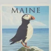 Puffin On Coast Coaster