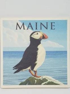 Puffin On Coast Coaster
