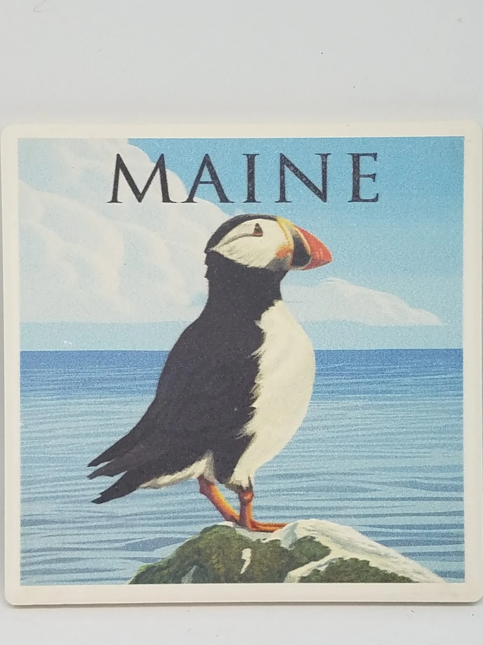 Puffin On Coast Coaster